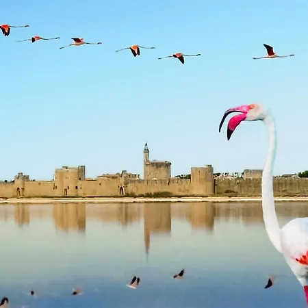 別荘 Lovely In St-genies-de-comolas